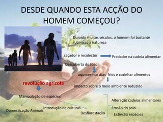 DESDE QUANDO ESTA ACÇÃO DO HOMEM COMEÇOU?Durante muitos séculos, o homem foi bastante submisso a naturezacaçador e recolectorPredador na cadeia alimentarDescoberta do fogo aquecer nos dias  frios e cozinhar alimentosrevolução agrícolaimpacto sobre o meio ambiente reduzidoManipulação de espéciesAlteração cadeias alimentaresIntrodução de culturasErosão do soloDomesticação AnimaisDesflorestaçãoExtinção espécies