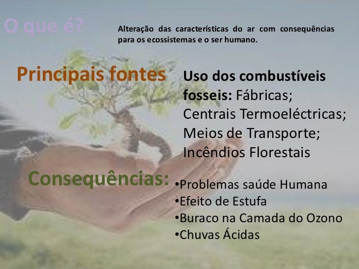 O Homem Pode Modificar Os Ecossistemas Como