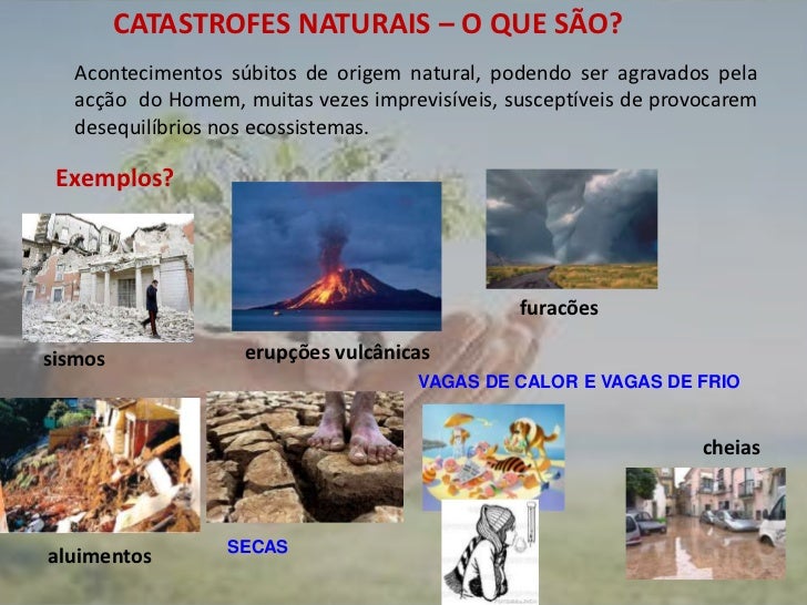 O Homem Pode Modificar Os Ecossistemas Como