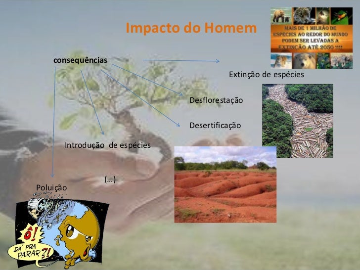 O Homem Pode Modificar Os Ecossistemas Como