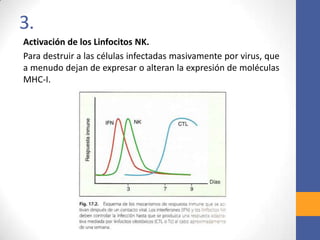 3.
Activación de los Linfocitos NK.
Para destruir a las células infectadas masivamente por virus, que
a menudo dejan de expresar o alteran la expresión de moléculas
MHC-I.
 