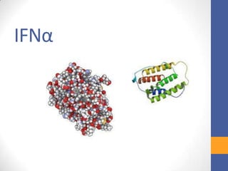IFNα
 