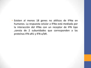 • Existen al menos 18 genes no alélicos de IFNα en
humanos. La respuesta celular a IFNα está mediada por
la interacción del IFNα con un receptor de IFN tipo
,consta de 2 subunidades que corresponden a las
proteínas IFN-aR1 y IFN-a/bR.
 