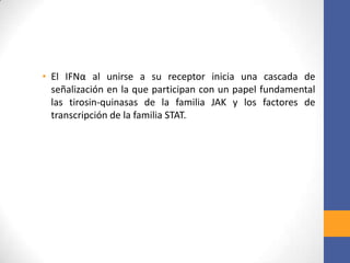 • El IFNα al unirse a su receptor inicia una cascada de
señalización en la que participan con un papel fundamental
las tirosin-quinasas de la familia JAK y los factores de
transcripción de la familia STAT.
 