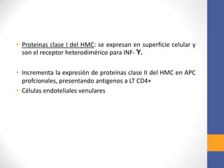 • Proteínas clase I del HMC: se expresan en superficie celular y
son el receptor heterodimérico para INF- Ƴ.
• Incrementa la expresión de proteínas clase II del HMC en APC
profcionales, presentando antigenos a LT CD4+
• Células endoteliales venulares
 