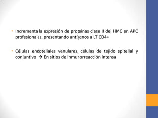 • Incrementa la expresión de proteínas clase II del HMC en APC
profesionales, presentando antígenos a LT CD4+
• Células endoteliales venulares, células de tejido epitelial y
conjuntivo  En sitios de inmunorreacción intensa
 