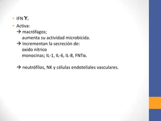 • IFN Ƴ.
• Activa:
 macrófagos;
aumenta su actividad microbicida.
 Incrementan la secreción de:
oxido nítrico
monocinas; IL-1, IL-6, IL-8, FNTα.
 neutrófilos, NK y células endoteliales vasculares.
 