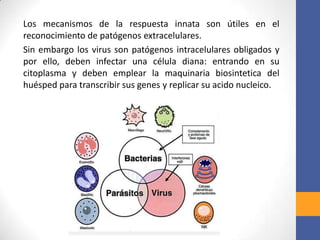 Los mecanismos de la respuesta innata son útiles en el
reconocimiento de patógenos extracelulares.
Sin embargo los virus son patógenos intracelulares obligados y
por ello, deben infectar una célula diana: entrando en su
citoplasma y deben emplear la maquinaria biosintetica del
huésped para transcribir sus genes y replicar su acido nucleico.
 