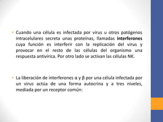 • Cuando una célula es infectada por virus u otros patógenos
intracelulares secreta unas proteínas, llamadas interferones
cuya función es interferir con la replicación del virus y
provocar en el resto de las células del organismo una
respuesta antivírica. Por otro lado se activan las células NK.
• La liberación de interferones α y β por una célula infectada por
un virus actúa de una forma autocrina y a tres niveles,
mediada por un receptor común:
 