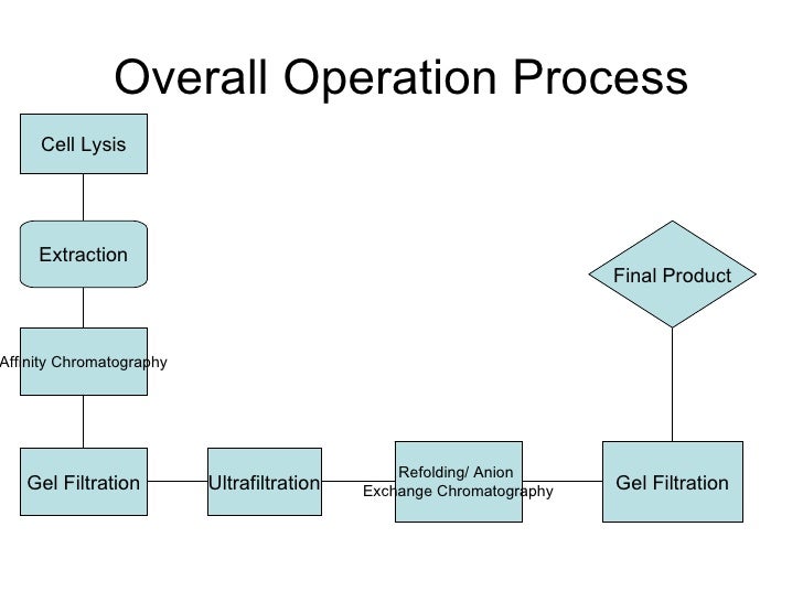 production process
