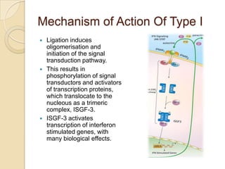 Mechanism of Action Of Type I






Ligation induces
oligomerisation and
initiation of the signal
transduction pathway.
This results in
phosphorylation of signal
transductors and activators
of transcription proteins,
which translocate to the
nucleous as a trimeric
complex, ISGF-3.
ISGF-3 activates
transcription of interferon
stimulated genes, with
many biological effects.

 