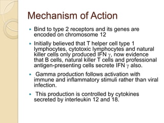 Mechanism of Action


Bind to type 2 receptors and its genes are
encoded on chromosome 12



Initially believed that T helper cell type 1
lymphocytes, cytotoxic lymphocytes and natural
killer cells only produced IFN , now evidence
that B cells, natural killer T cells and professional
antigen-presenting cells secrete IFN also.



Gamma production follows activation with
immune and inflammatory stimuli rather than viral
infection.



This production is controlled by cytokines
secreted by interleukin 12 and 18.

 