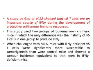 • A study by Gao et al.22 showed that γδ T cells are an
important source of IFNγ during the development of
protective antitumour immune responses.
• This study used two groups of bonemarrow- chimeric
mice in which the only difference was the inability of γδ
T cells in one group to produce IFNγ.
• When challenged with MCA, mice with IFNγ-deficient γδ
T cells were significantly more susceptible to
tumorigenesis than were control mice and showed a
tumour incidence equivalent to that seen in IFNγ-
deficient mice.
 