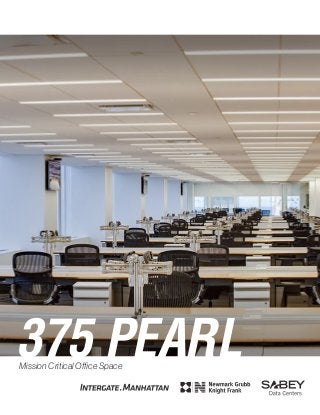 375 PEARLMission Critical Office Space
 