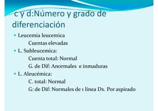 c y d:Número y grado de 
c y d:Número y grado de
diferenciación
 Leucemia leucemica 
      Cuentas elevadas
 L. Subleucemica:
 L  S bl        i
      Cuenta total: Normal
      G. de Dif: Anormales  e inmaduras
 L. Aleucémica:
 L  Aleucémica:
      C. total: Normal
      G: de Dif: Normales de 1 línea Dx. Por aspirado
 
