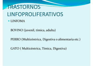 TRASTORNOS 
TRASTORNOS
LINFOPROLIFERATIVOS
 LINFOMA

 BOVINO (juvenil, tímica, adulta)
 BOVINO (j    il   í i   d l )

 PERRO (Multicéntrica, Digestiva o alimentaria etc.)

 GATO ( Multicéntrica, Tímica, Digestiva)
 