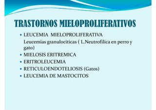 TRASTORNOS MIELOPROLIFERATIVOS
  LEUCEMIA  MIELOPROLIFERATIVA
  Leucemias granulociticas ( L.Neutrofilica en perro y 
  gato)
  MIELOSIS ERITREMICA
  ERITROLEUCEMIA
  RETICULOENDOTELIOSIS (Gatos)
  LEUCEMIA DE MASTOCITOS
 
