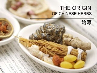 THE ORIGIN
OF CHINESE HERBS
始源
 