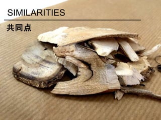 SIMILARITIES
共同点
 