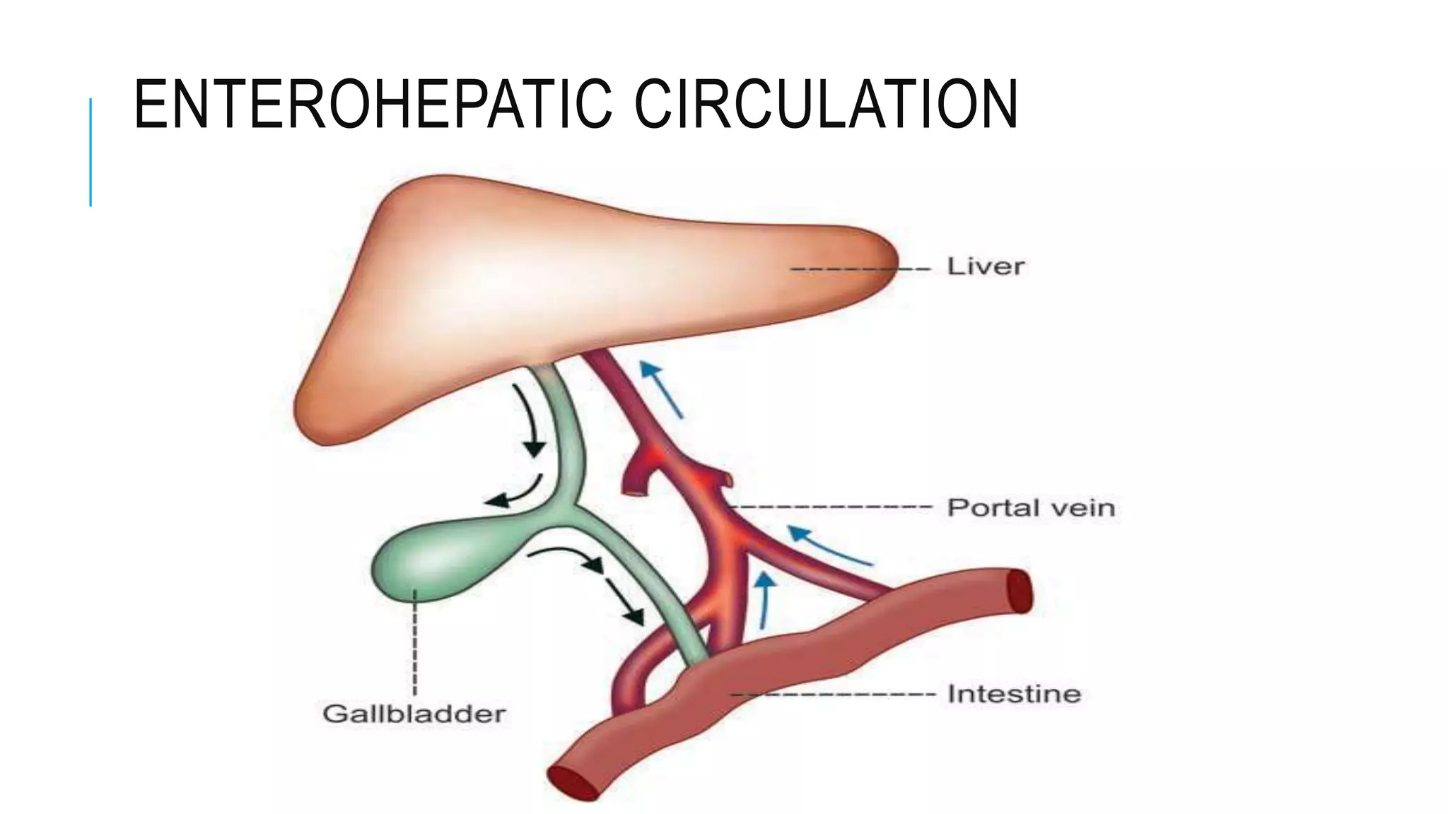 ENTEROHEPATIC CIRCULATION
 