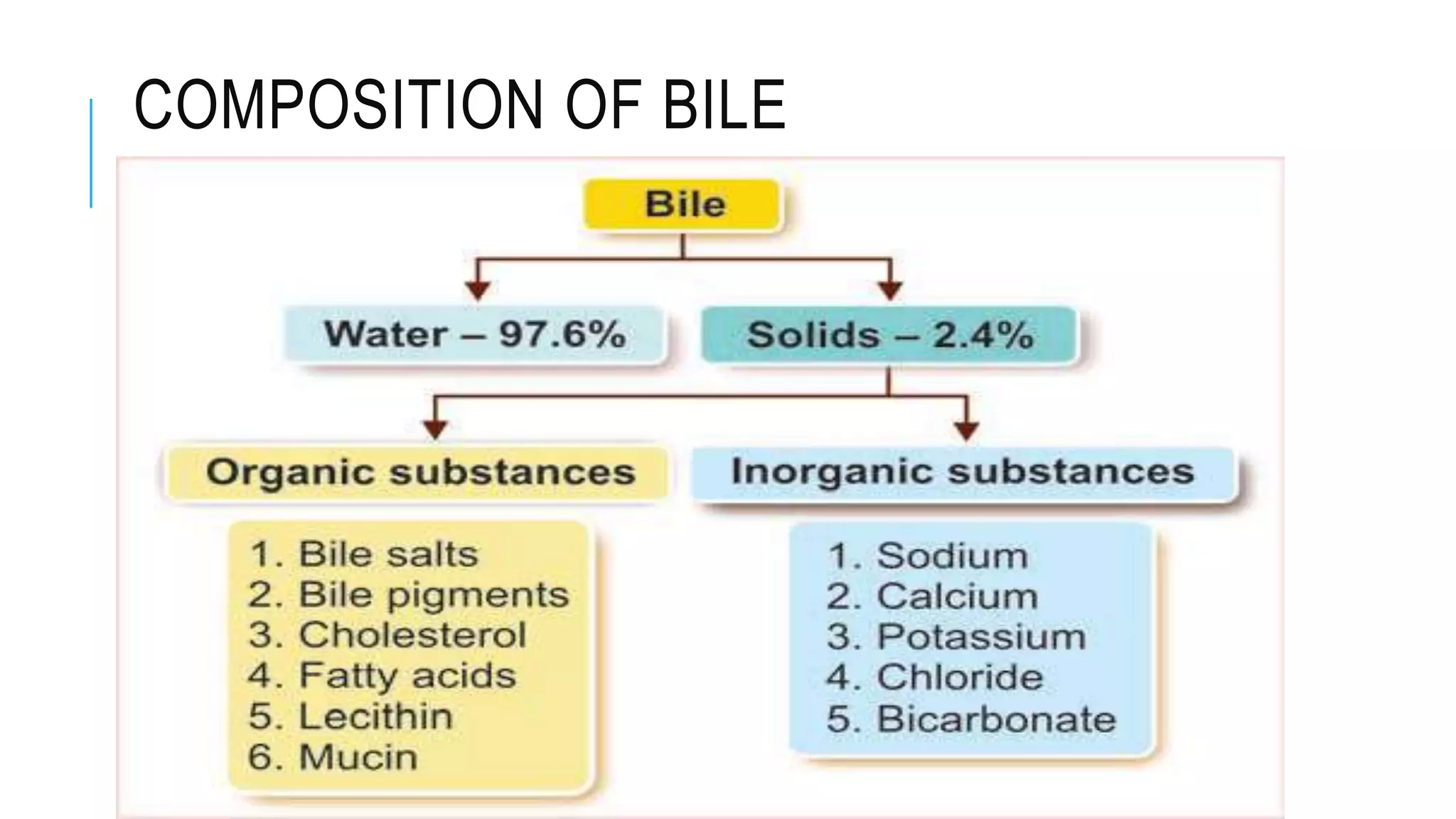COMPOSITION OF BILE
 