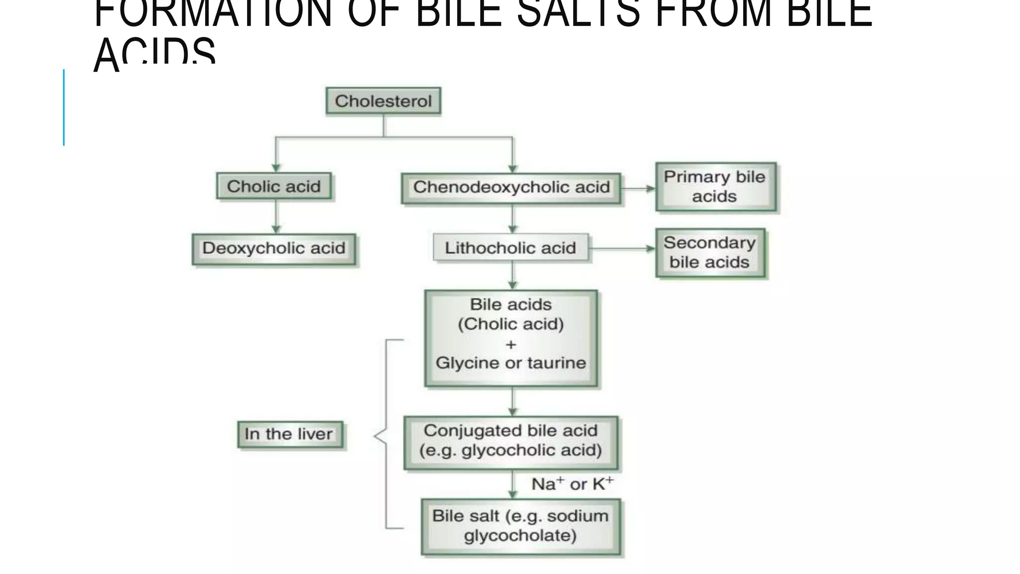 FORMATION OF BILE SALTS FROM BILE
ACIDS
 