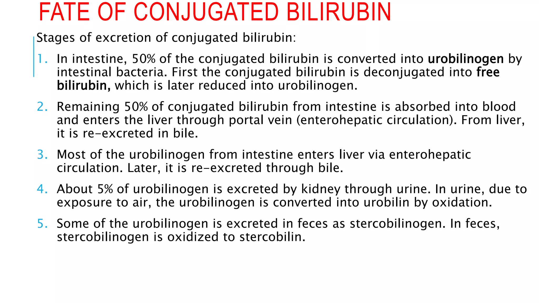 FATE OF CONJUGATED BILIRUBIN
Stages of excretion of conjugated bilirubin:
1. In intestine, 50% of the conjugated bilirubin is converted into urobilinogen by
intestinal bacteria. First the conjugated bilirubin is deconjugated into free
bilirubin, which is later reduced into urobilinogen.
2. Remaining 50% of conjugated bilirubin from intestine is absorbed into blood
and enters the liver through portal vein (enterohepatic circulation). From liver,
it is re-excreted in bile.
3. Most of the urobilinogen from intestine enters liver via enterohepatic
circulation. Later, it is re-excreted through bile.
4. About 5% of urobilinogen is excreted by kidney through urine. In urine, due to
exposure to air, the urobilinogen is converted into urobilin by oxidation.
5. Some of the urobilinogen is excreted in feces as stercobilinogen. In feces,
stercobilinogen is oxidized to stercobilin.
 