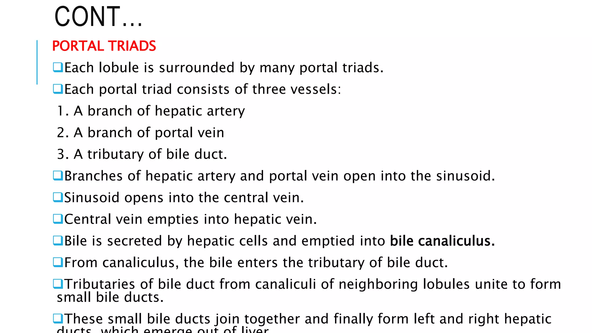 CONT…
PORTAL TRIADS
Each lobule is surrounded by many portal triads.
Each portal triad consists of three vessels:
1. A branch of hepatic artery
2. A branch of portal vein
3. A tributary of bile duct.
Branches of hepatic artery and portal vein open into the sinusoid.
Sinusoid opens into the central vein.
Central vein empties into hepatic vein.
Bile is secreted by hepatic cells and emptied into bile canaliculus.
From canaliculus, the bile enters the tributary of bile duct.
Tributaries of bile duct from canaliculi of neighboring lobules unite to form
small bile ducts.
These small bile ducts join together and finally form left and right hepatic
 