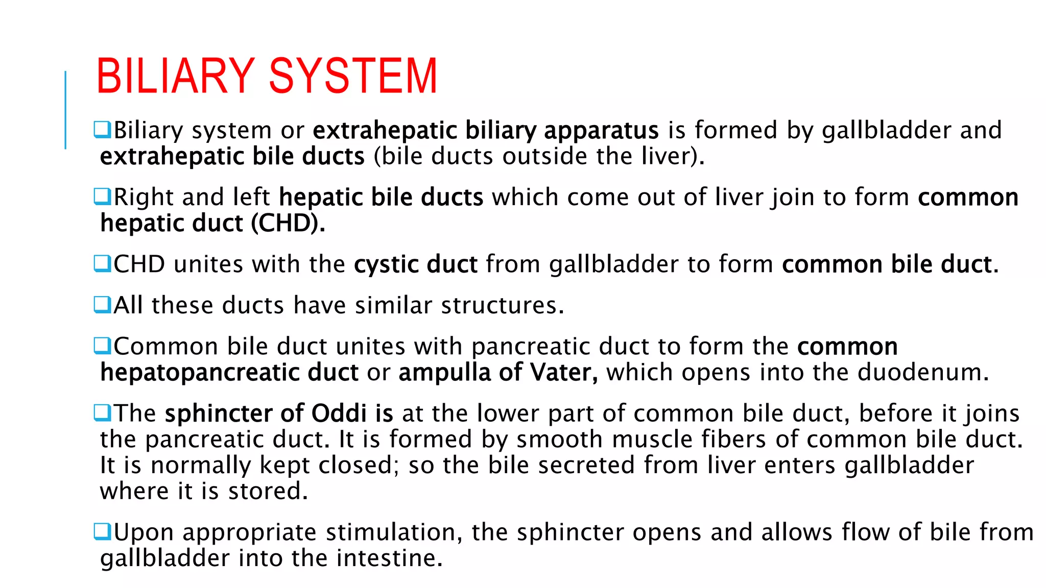 BILIARY SYSTEM
Biliary system or extrahepatic biliary apparatus is formed by gallbladder and
extrahepatic bile ducts (bile ducts outside the liver).
Right and left hepatic bile ducts which come out of liver join to form common
hepatic duct (CHD).
CHD unites with the cystic duct from gallbladder to form common bile duct.
All these ducts have similar structures.
Common bile duct unites with pancreatic duct to form the common
hepatopancreatic duct or ampulla of Vater, which opens into the duodenum.
The sphincter of Oddi is at the lower part of common bile duct, before it joins
the pancreatic duct. It is formed by smooth muscle fibers of common bile duct.
It is normally kept closed; so the bile secreted from liver enters gallbladder
where it is stored.
Upon appropriate stimulation, the sphincter opens and allows flow of bile from
gallbladder into the intestine.
 