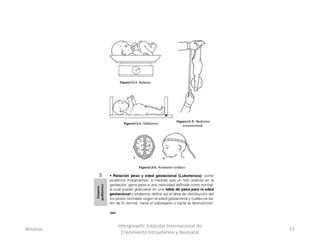 Amanzo
Intergrowth: Estándar Internacional de
Crecimiento Intrauterino y Neonatal
17
 
