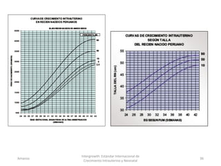 Amanzo
Intergrowth: Estándar Internacional de
Crecimiento Intrauterino y Neonatal
36
 
