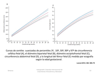 Amanzo
Intergrowth: Estándar Internacional de
Crecimiento Intrauterino y Neonatal
53
Lancet 2014; 384: 869–79
Curvas de centiles suavizadas de percentiles 3º, 10º, 50º, 90º y 97º de circunferencia
cefálica fetal (A), el diámetro biparietal fetal (B), diámetro occipitofrontal fetal (C),
circunferencia abdominal fetal (D), y la longitud del fémur fetal (E) medido por ecografía
según la edad gestacional.
 