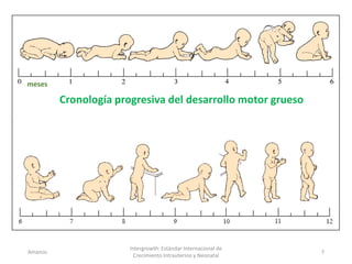 Amanzo
Intergrowth: Estándar Internacional de
Crecimiento Intrauterino y Neonatal
7
Cronología progresiva del desarrollo motor grueso
meses
 