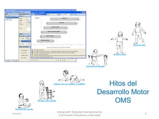Sentado sin ayuda
Se para con ayuda
Camina solo
Hitos del
Desarrollo Motor
OMS
Gatea con sus manos y rodillas
Camina con ayuda
Se para solo
Intergrowth: Estándar Internacional de
Crecimiento Intrauterino y Neonatal
Amanzo 8
 