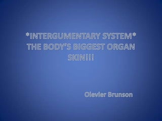 *INTERGUMENTARY SYSTEM*THE BODY’S BIGGEST ORGANSKIN!!! OlevierBrunson 