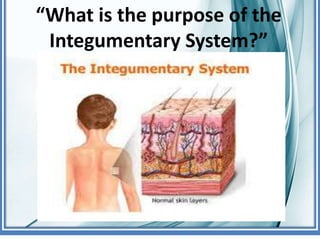 Intergumentary System.pptx