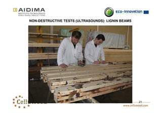 21 
NON-DESTRUCTIVE TESTS (ULTRASOUNDS): LIGNIN BEAMS 
 
