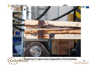 31 
Breaking of a lignin beam (separation of the lamellas) 
 
