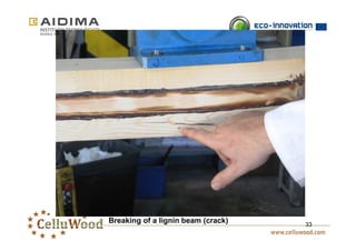 33 Breaking of a lignin beam (crack) 
 