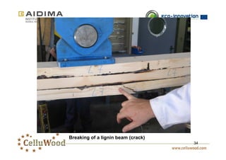 34 
Breaking of a lignin beam (crack) 
 