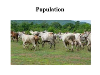 Population
 