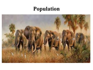 Population
 