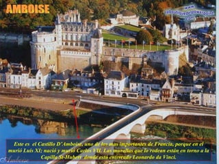 Este es  el Castillo D’Amboise, uno de los mas importantes de Francia, porque en el murió Luís XI; nació y murió Carlos VII. Las murallas que lo rodean están en torno a la Capilla St-Hubert  donde está enterrado Leonardo da Vinci. AMBOISE 