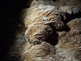 Interior de um vulca o