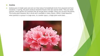 interiorlandscape-200524144753 (1).pdf