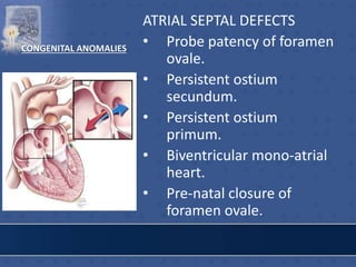 CONGENITAL ANOMALIES
ATRIAL SEPTAL DEFECTS
• Probe patency of foramen
ovale.
• Persistent ostium
secundum.
• Persistent ostium
primum.
• Biventricular mono-atrial
heart.
• Pre-natal closure of
foramen ovale.
 