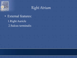 Right Atrium
• External features:
1.Right Auricle
2.Sulcus terminalis
 