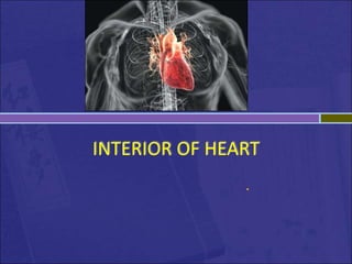 INTERIOR OF HEART
.
 