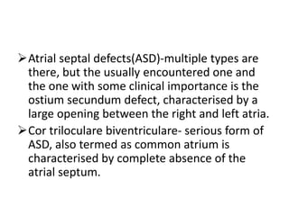Atrial septal defects(ASD)-multiple types are
there, but the usually encountered one and
the one with some clinical importance is the
ostium secundum defect, characterised by a
large opening between the right and left atria.
Cor triloculare biventriculare- serious form of
ASD, also termed as common atrium is
characterised by complete absence of the
atrial septum.
 