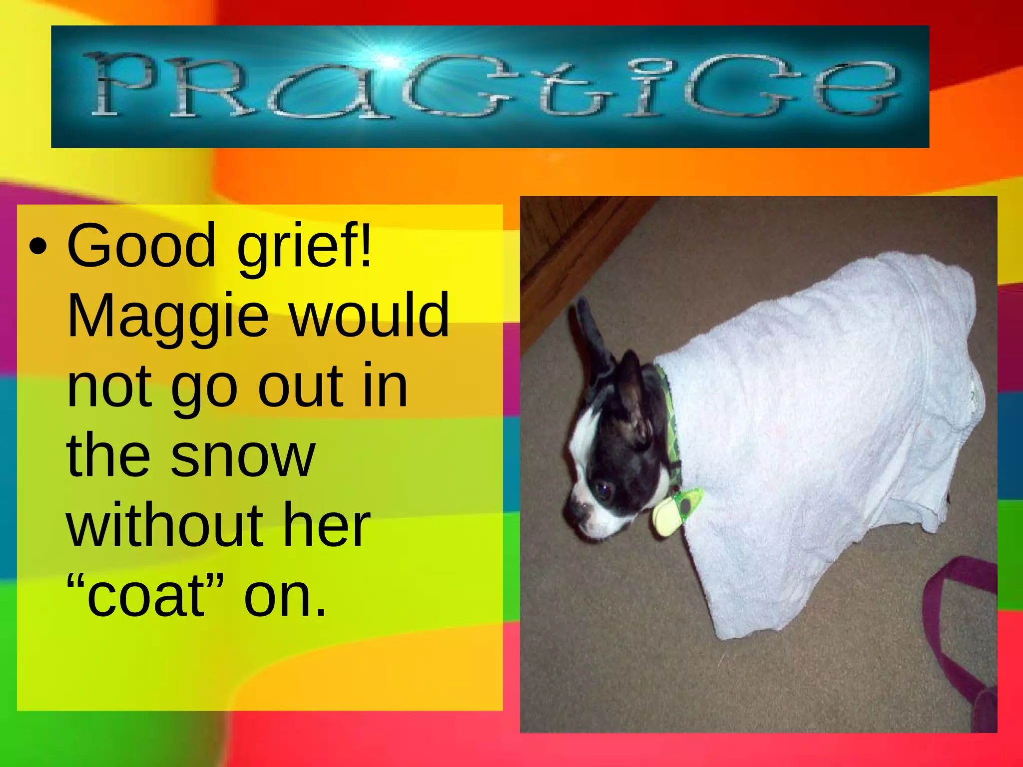 Good grief! Maggie would not go out in the snow without her “coat” on.